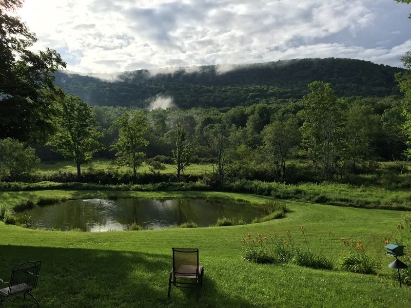 pond in summer.jpg