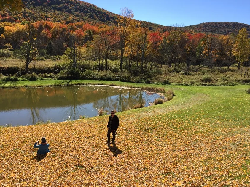 pond in fall.jpg