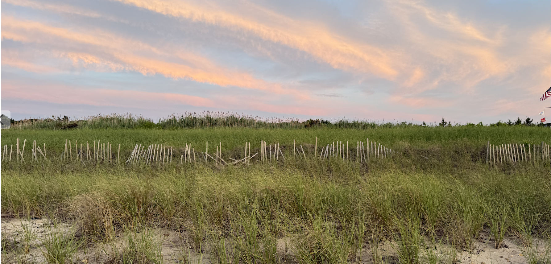 Screen Shot 2025-07-03 at 1.34.49 PM.png