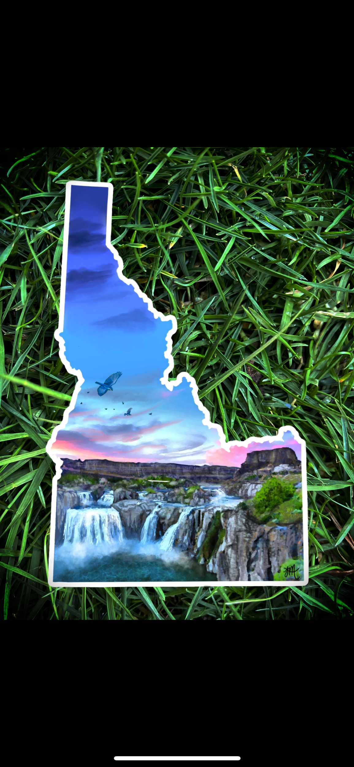 9FF0265B-71B1-4AAA-8A8E-3DAE825B0E66