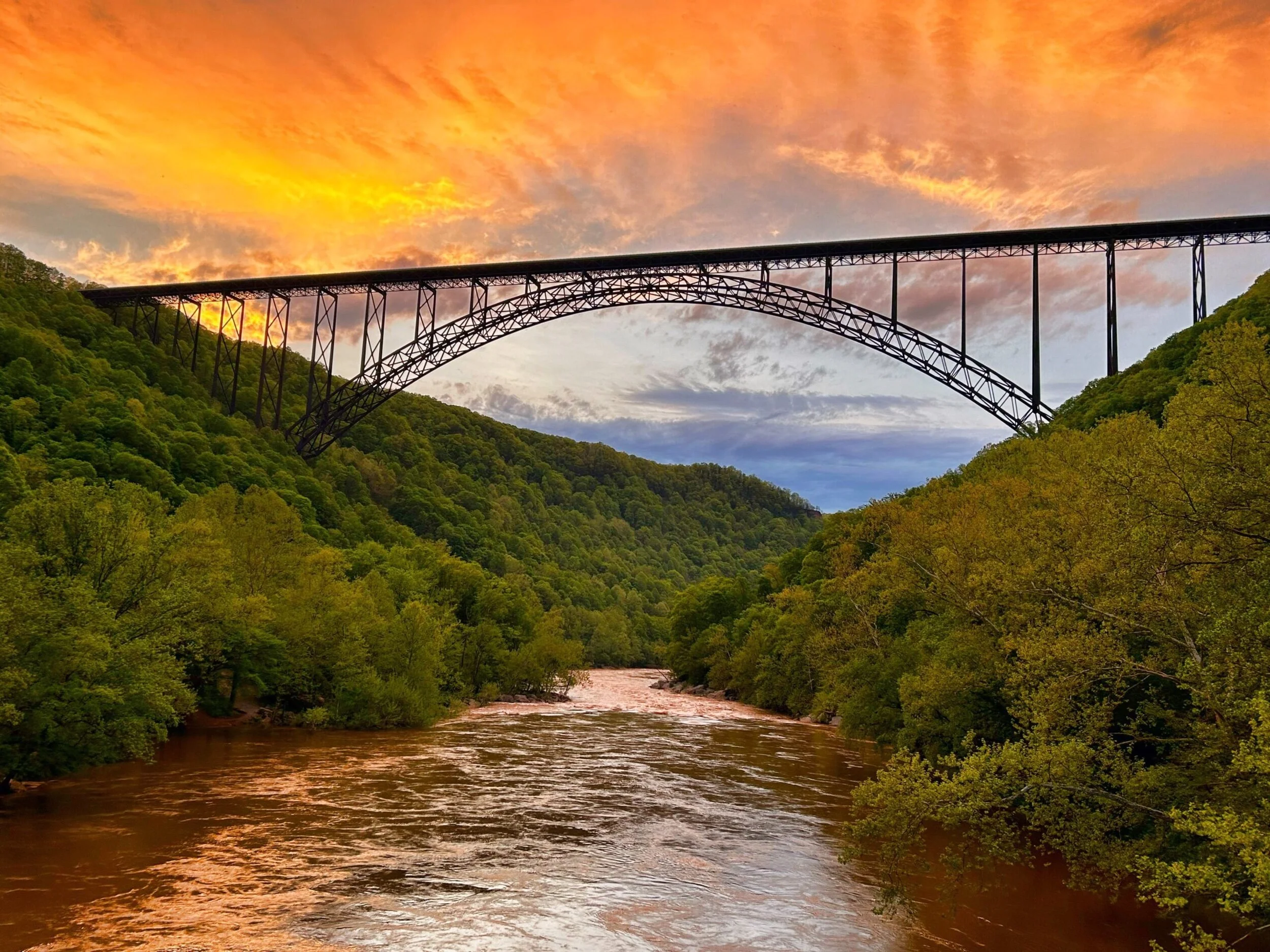 CF32E842-D57A-43A6-BAFC-1B8FE6BB8DEF