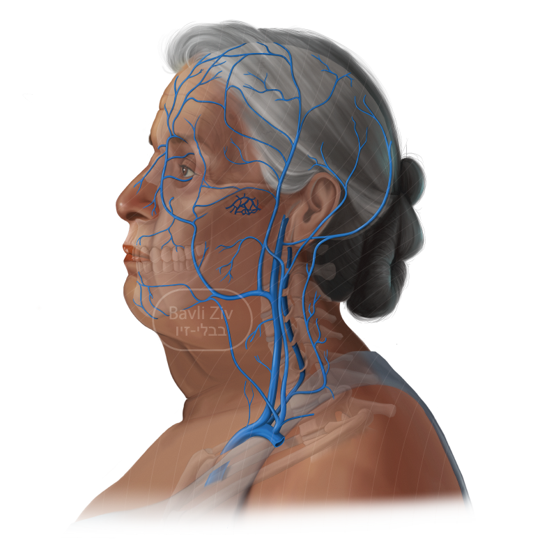 2026 website portfolio-06.png