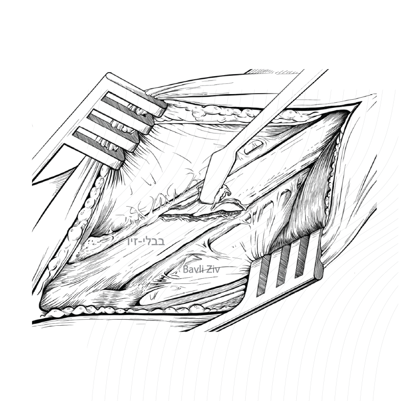 2026 website portfolio-12.png