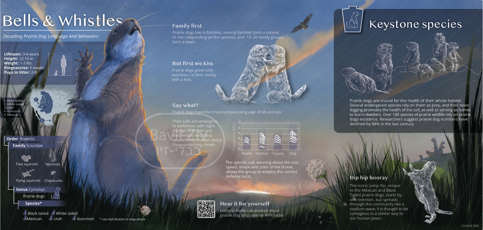 2026 website portfolio design-01.png