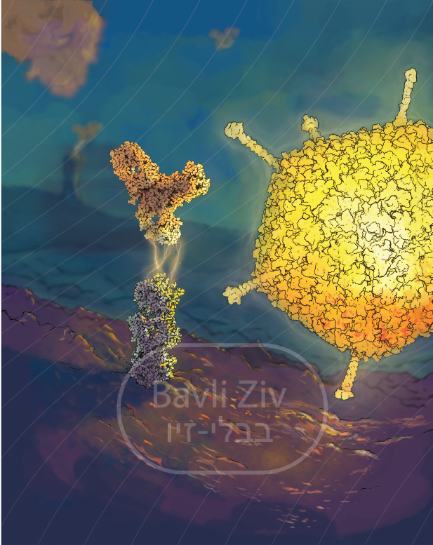 2026 website portfolio design-07.png