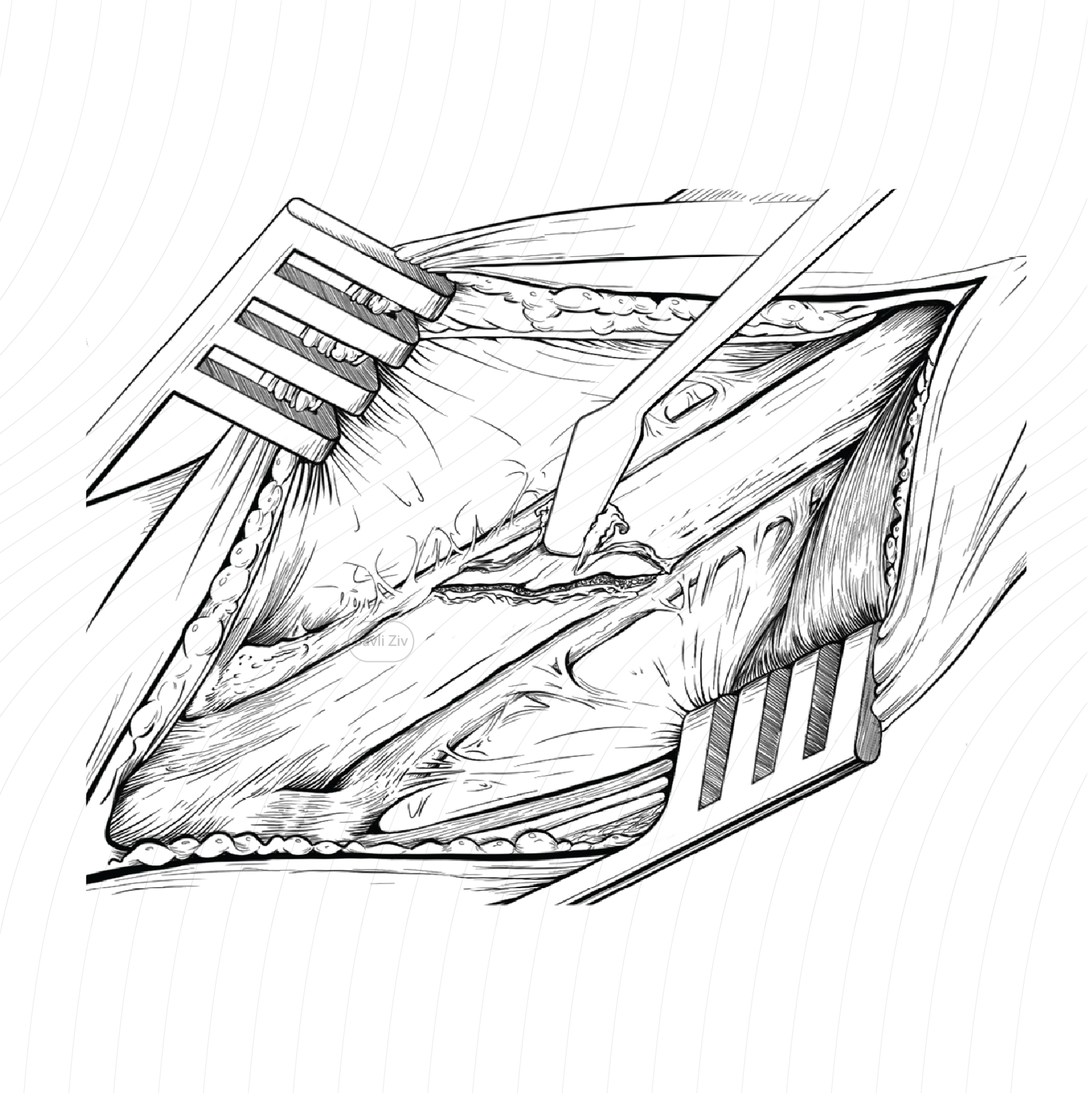 2026 website portfolio-12.png