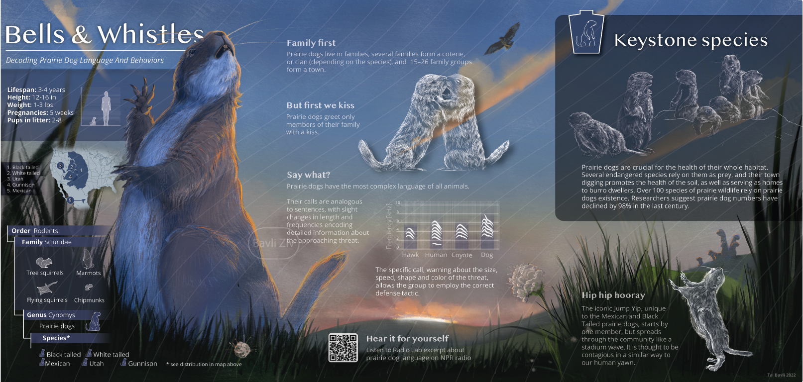 2026 website portfolio design-01.png
