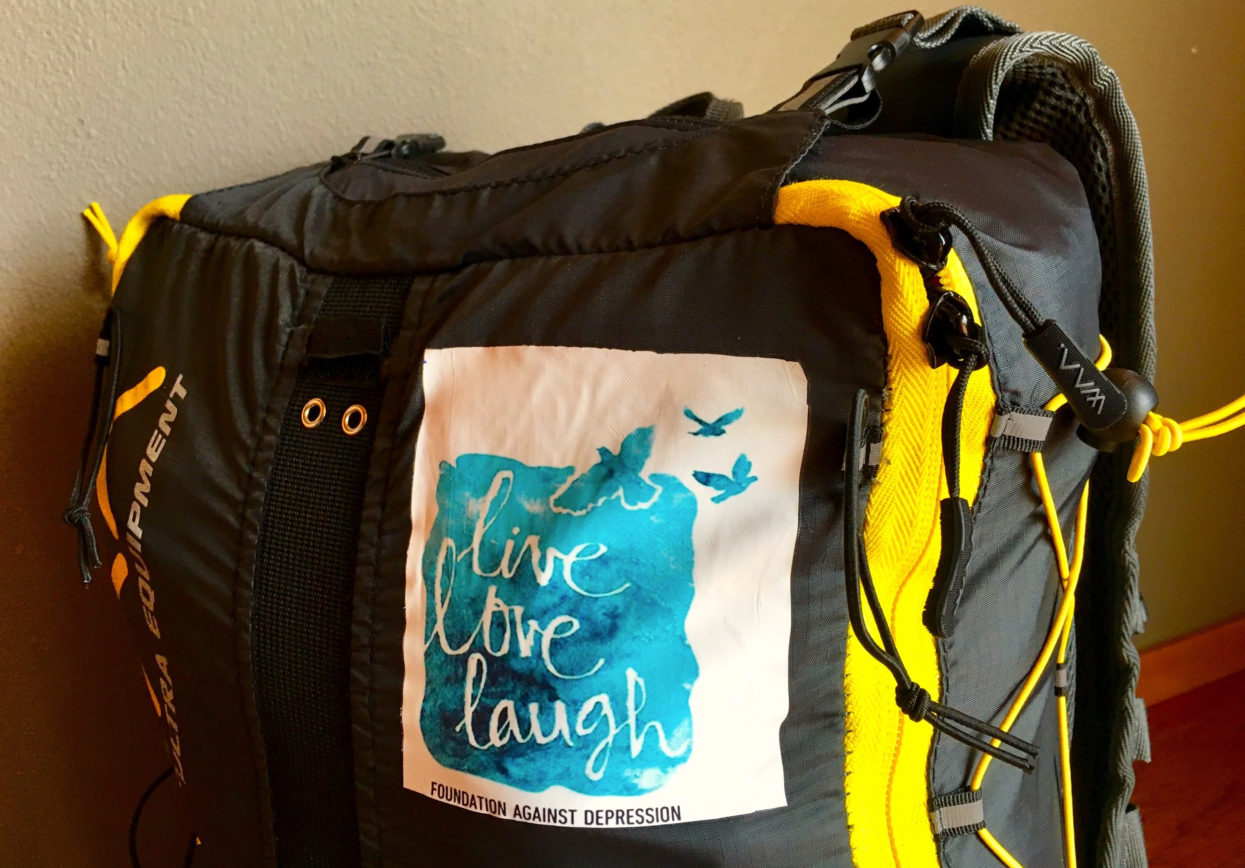 The backpack I'm using to run MDS