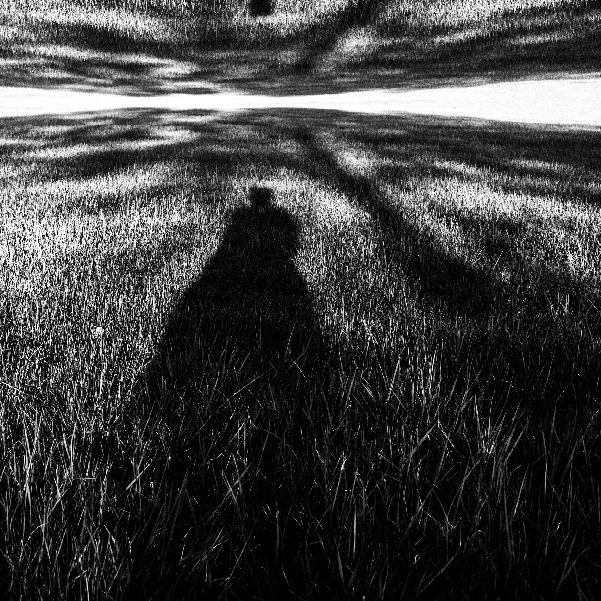 untitled-6-7-Final-1-2.jpg