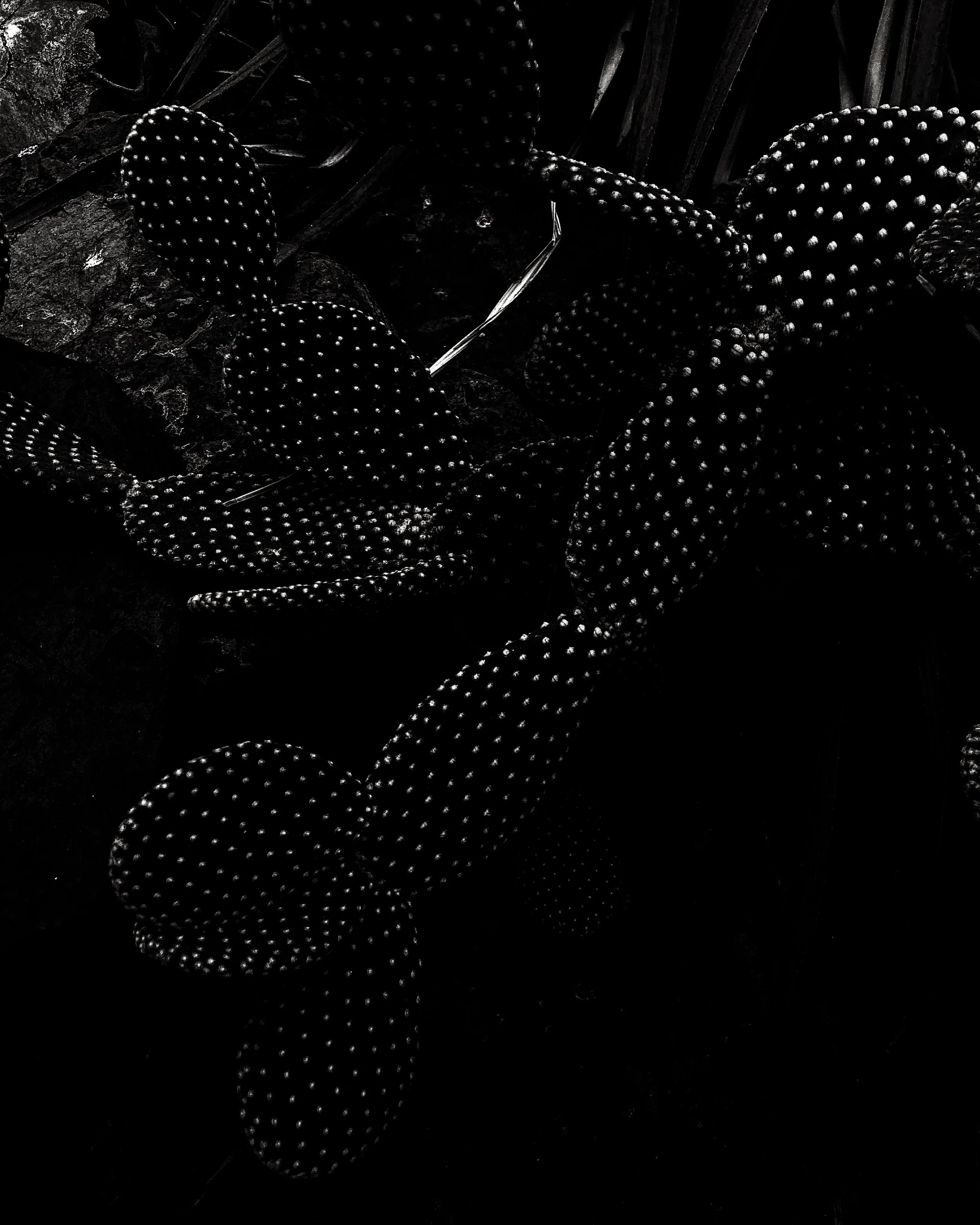 949A566C-F1E1-4385-83EE-6F6B68FFA693.jpeg