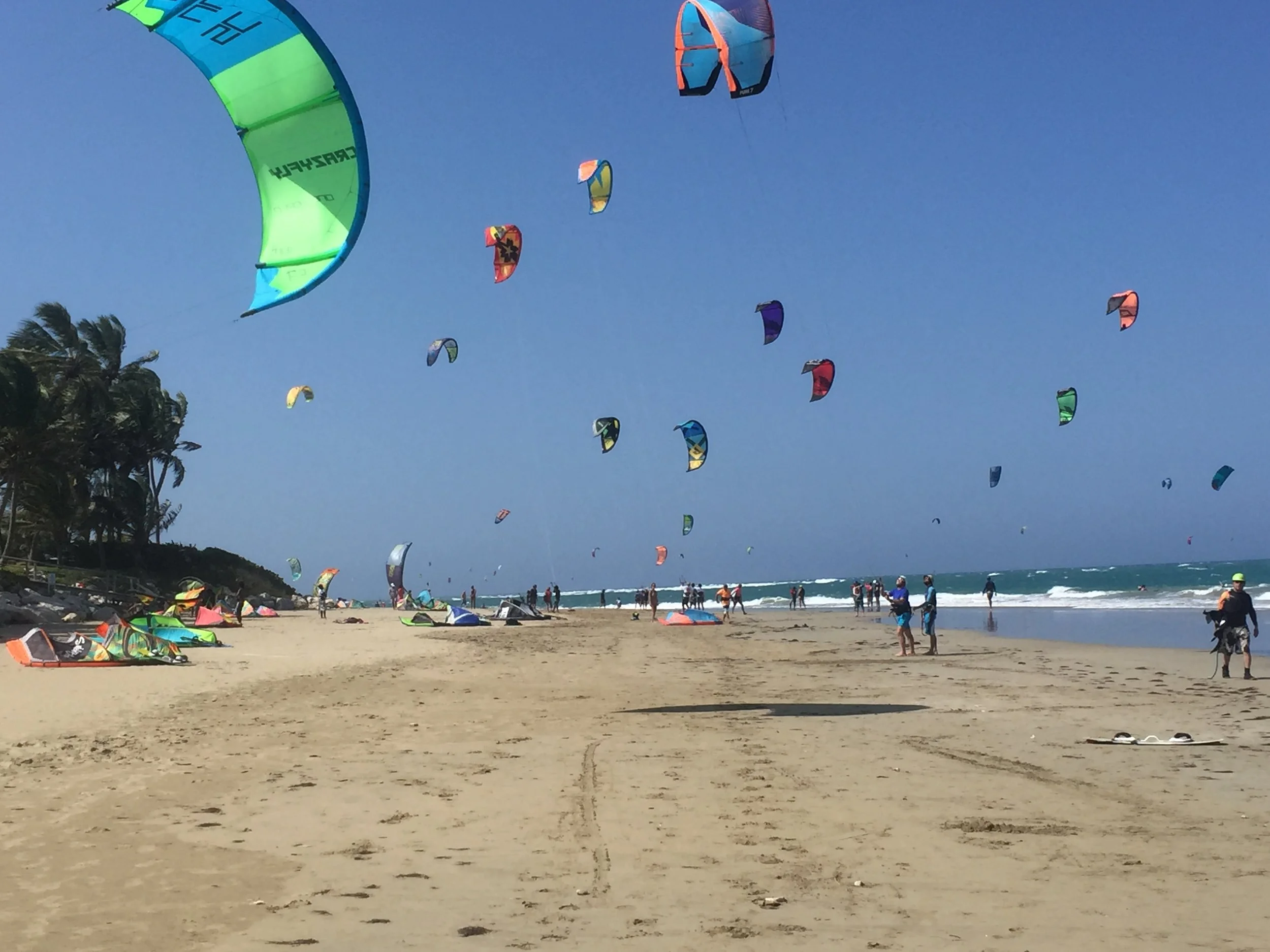kites.JPG