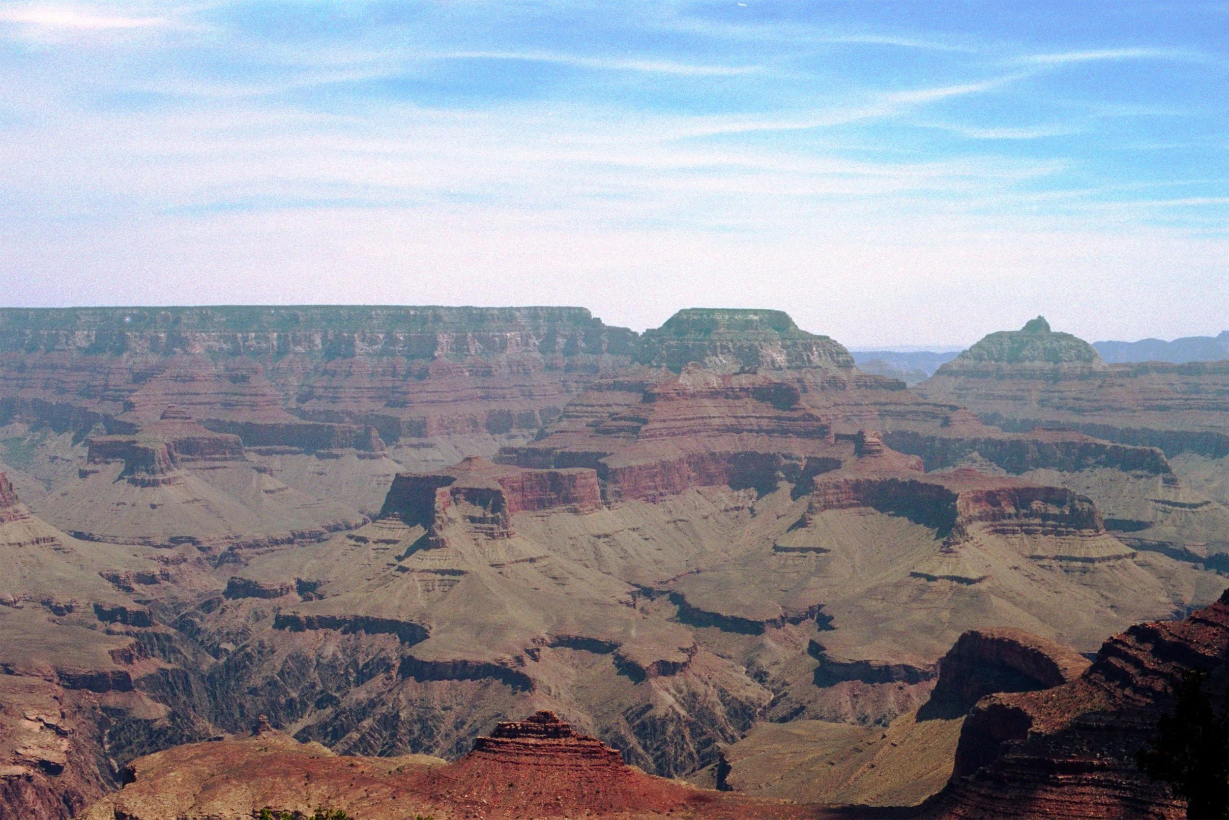 Image_1.jpg