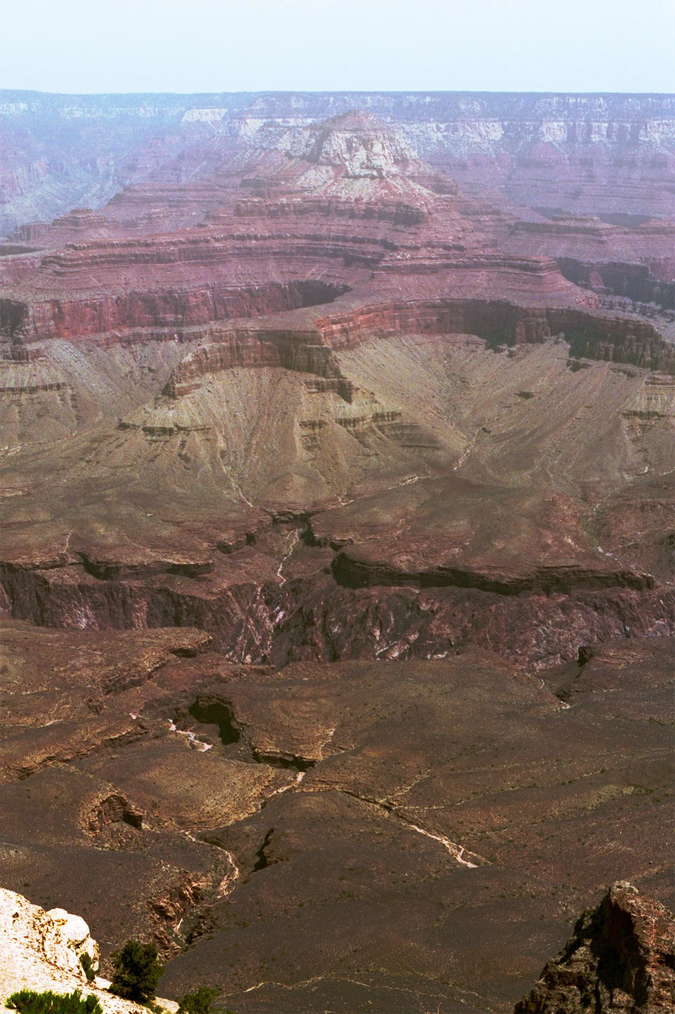 Image_5.jpg