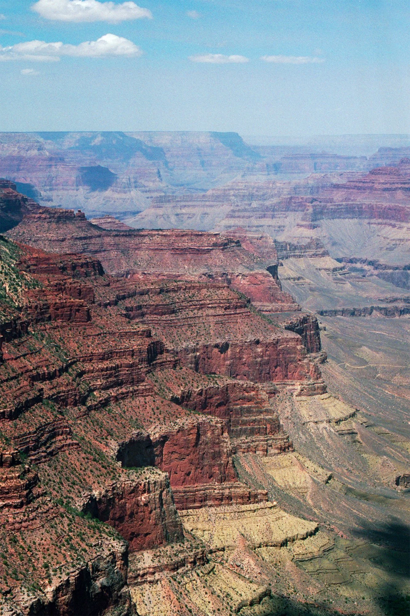Image_12.jpg