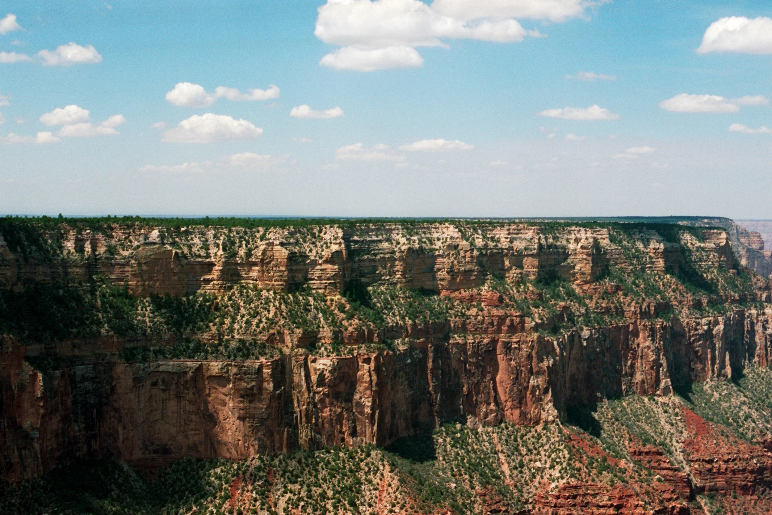 Image_14.jpg