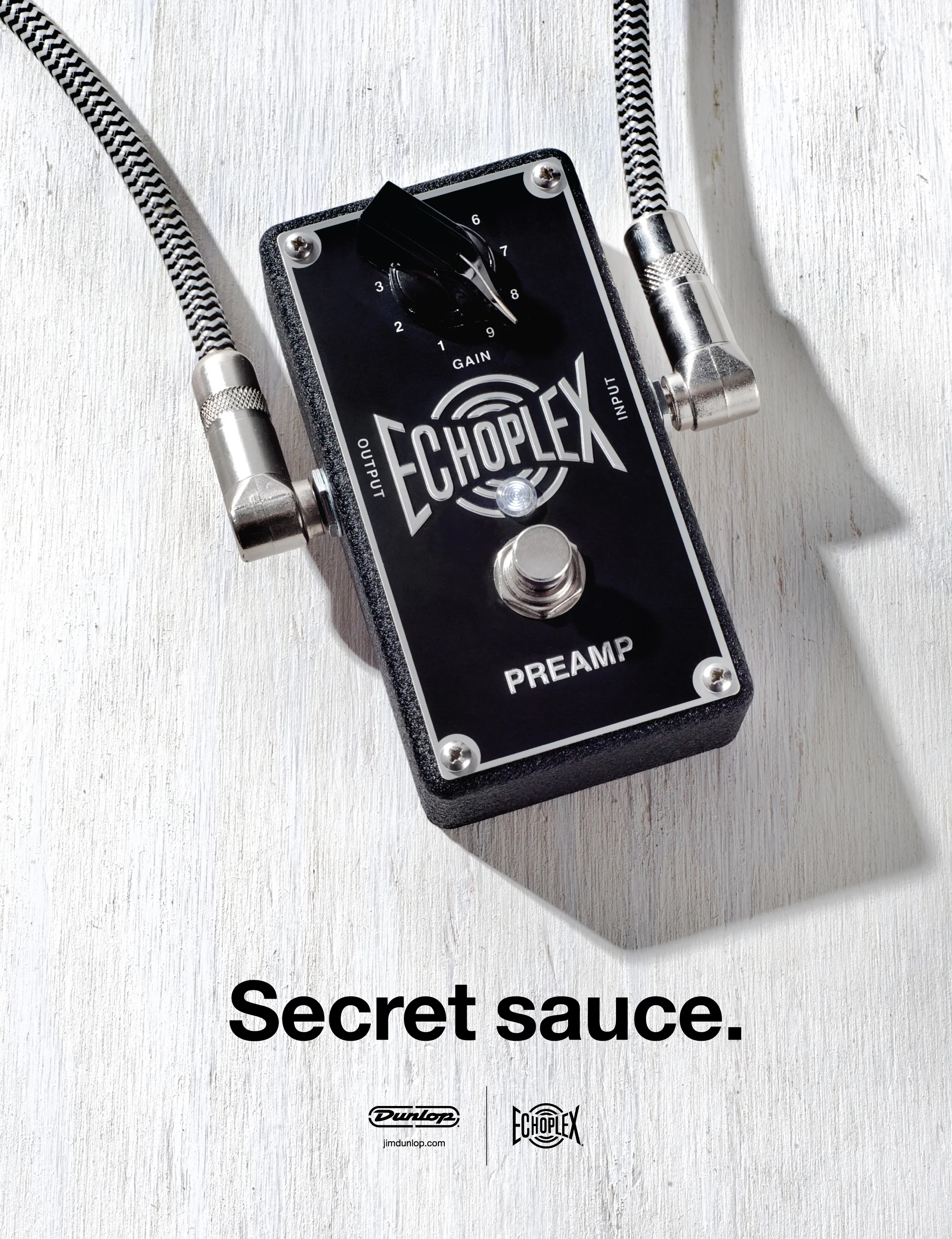 Echoplex_Ad.jpg