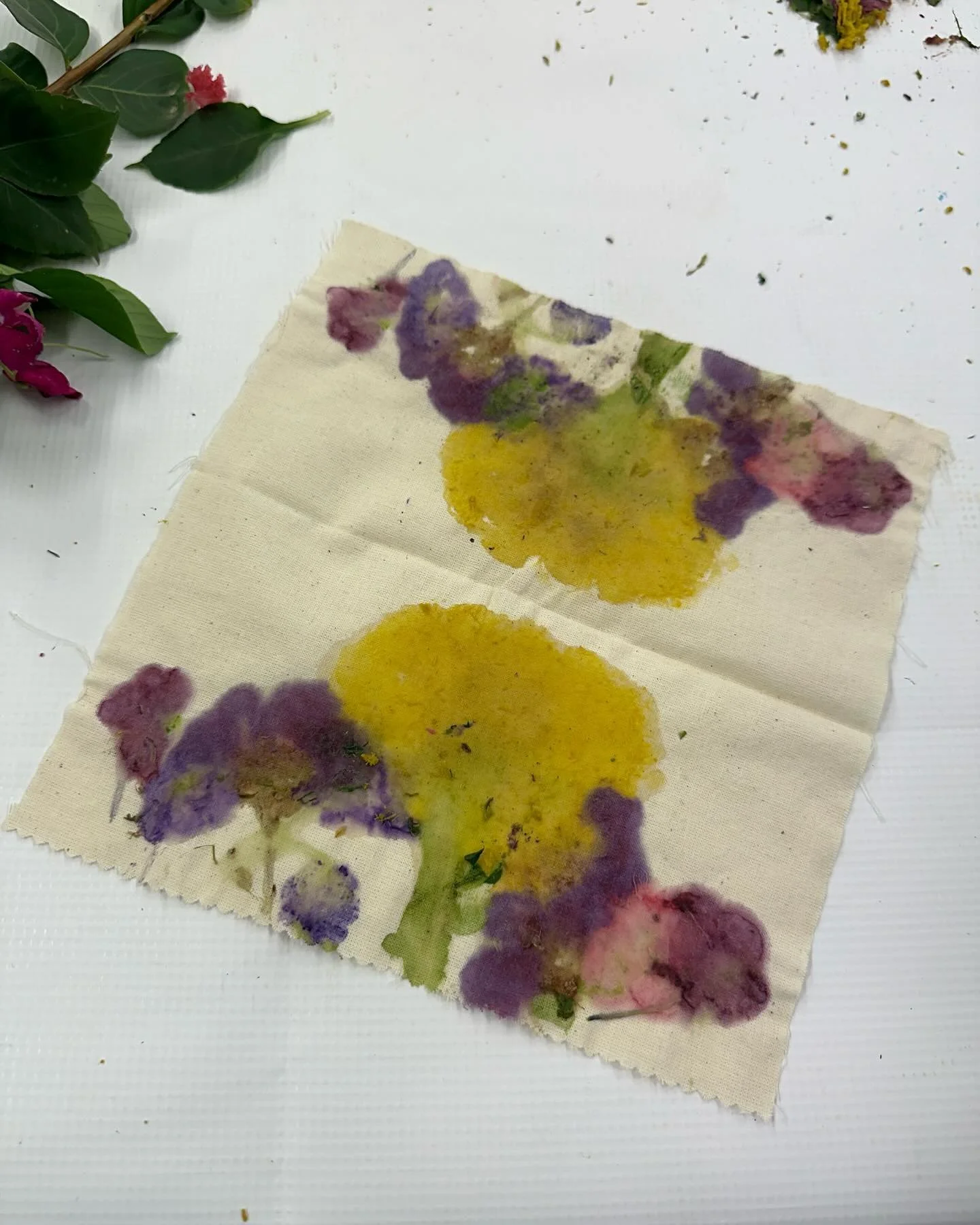Eco print from flowers&hellip; Who knew we could naturally dye fabrics using flowers?! And that purple from the magenta flowers 😍

#ecoprint #flowerpressing #naturaldye #sustainablefashion #sustainability #greenfashion #embroidery #ecofriendly #ecof