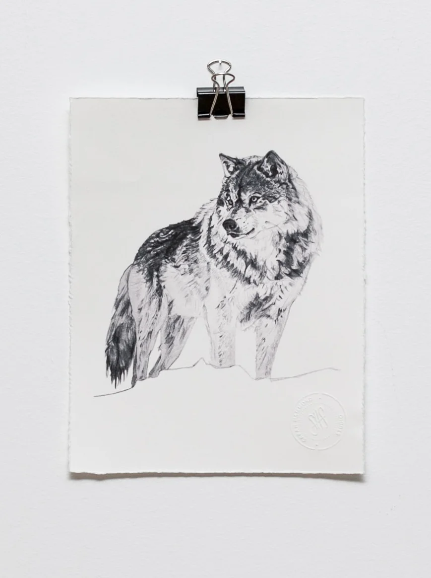 t wolf.jpg