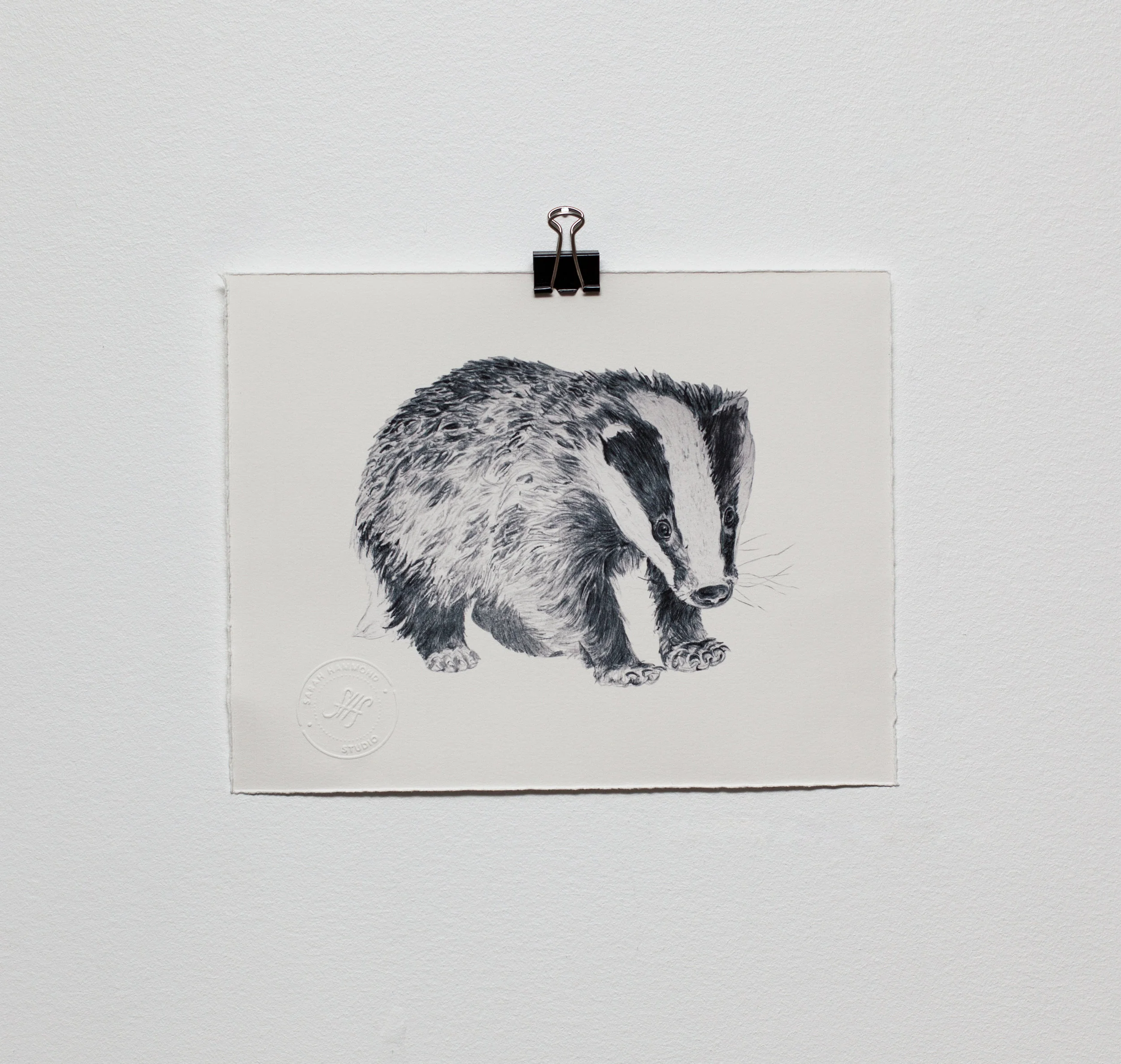 Badger print .jpg