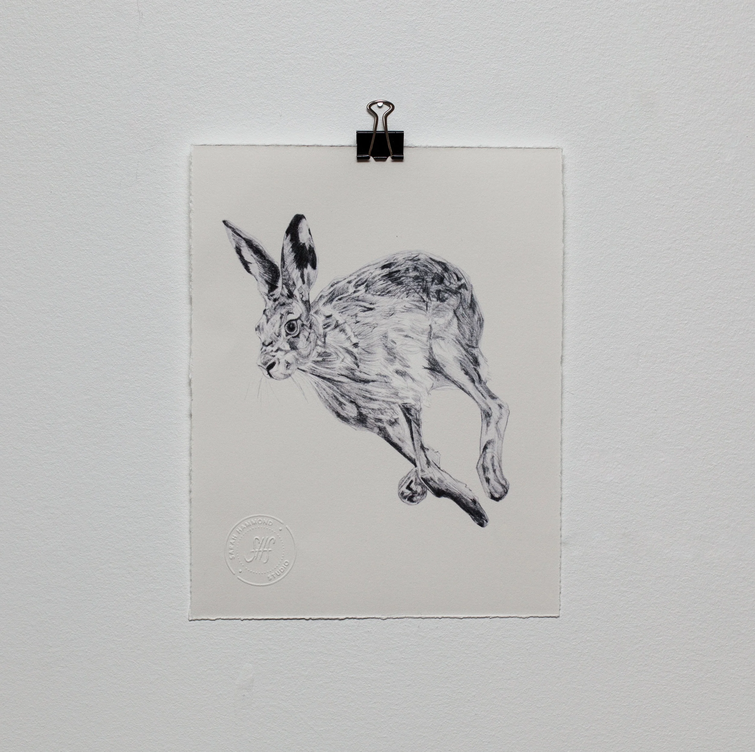 Hare Running.jpg