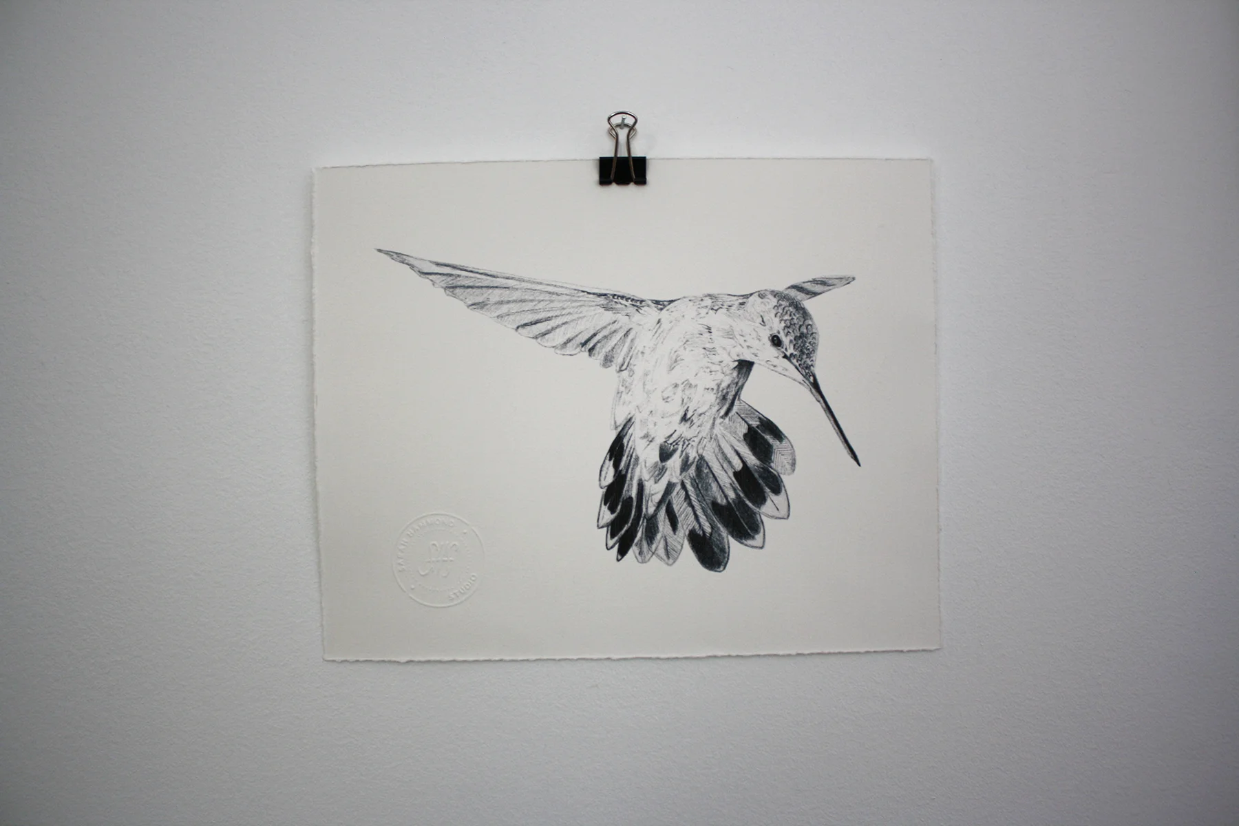 hummingbird 2 print.jpg