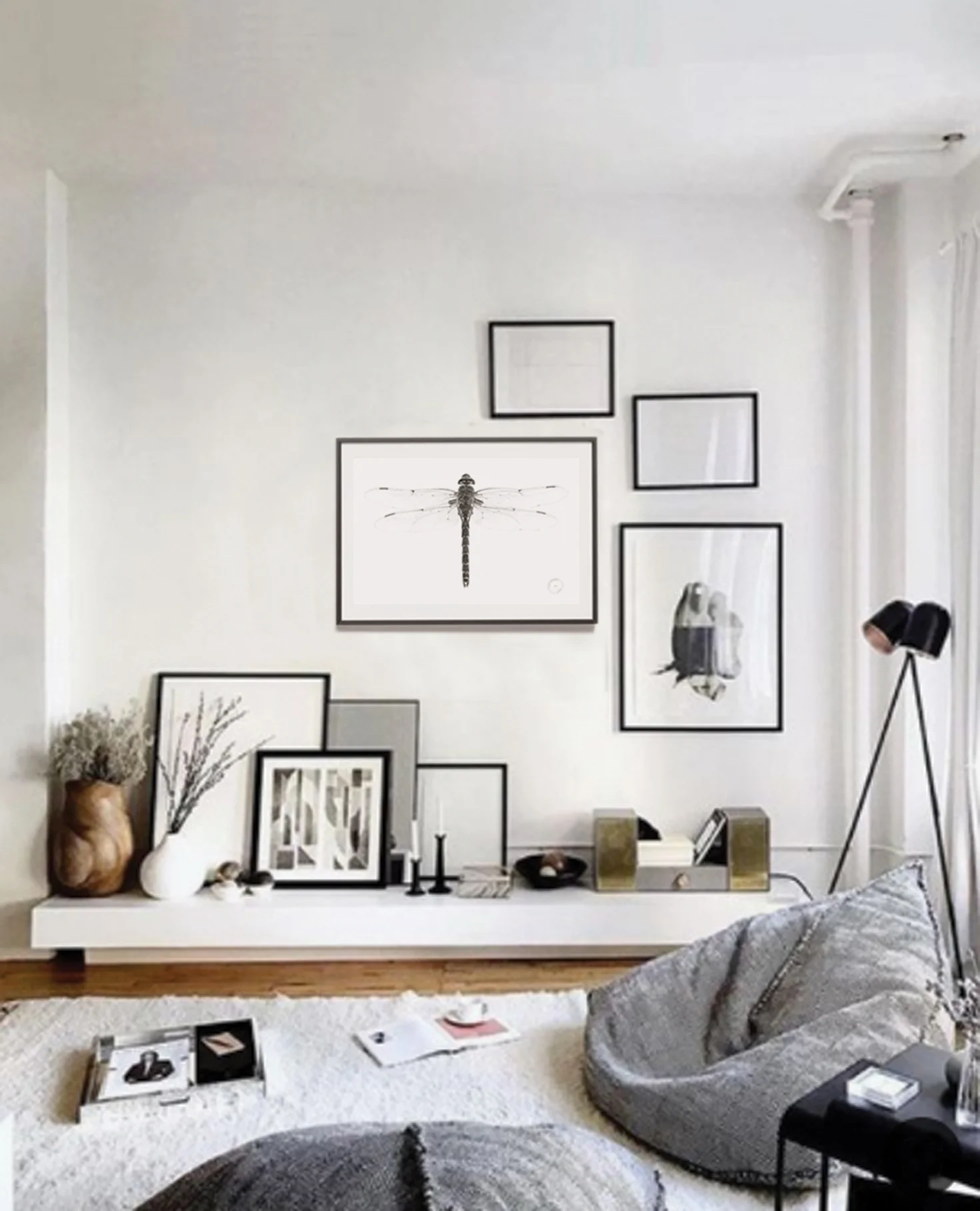 Interior design living room & dragonfly.jpg