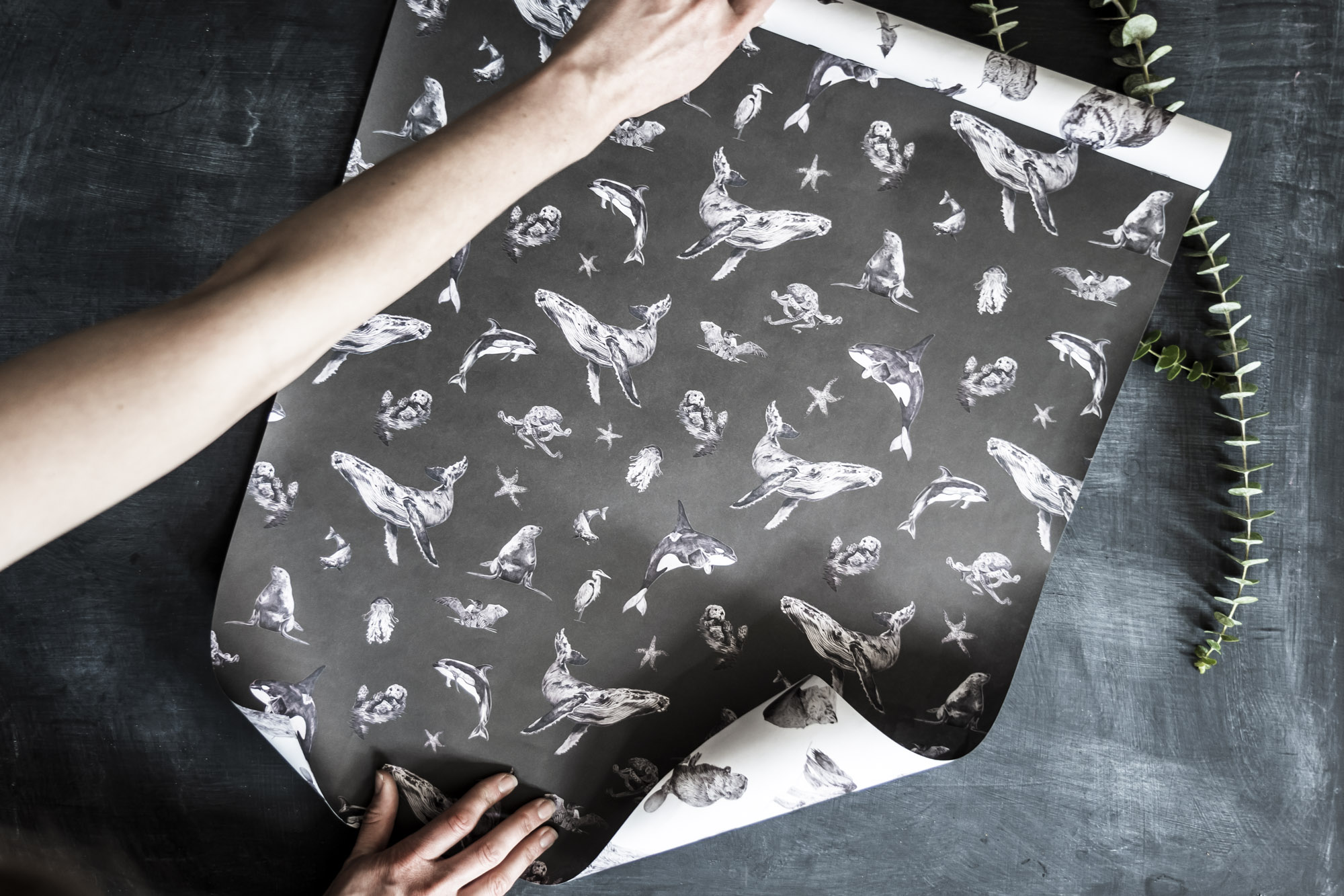 SH_Wrapping-Paper-Web-79.jpg