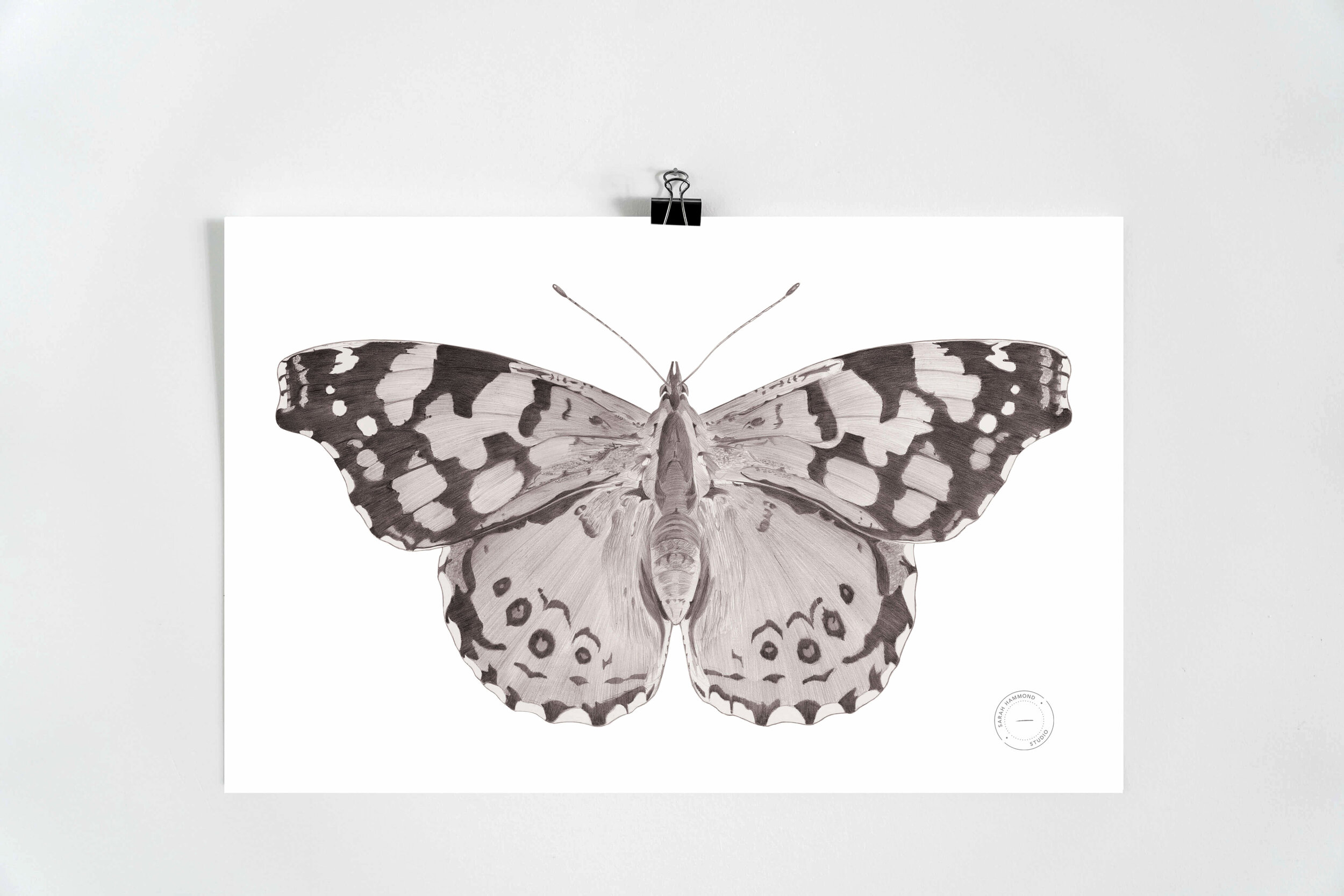 Butterfly Print