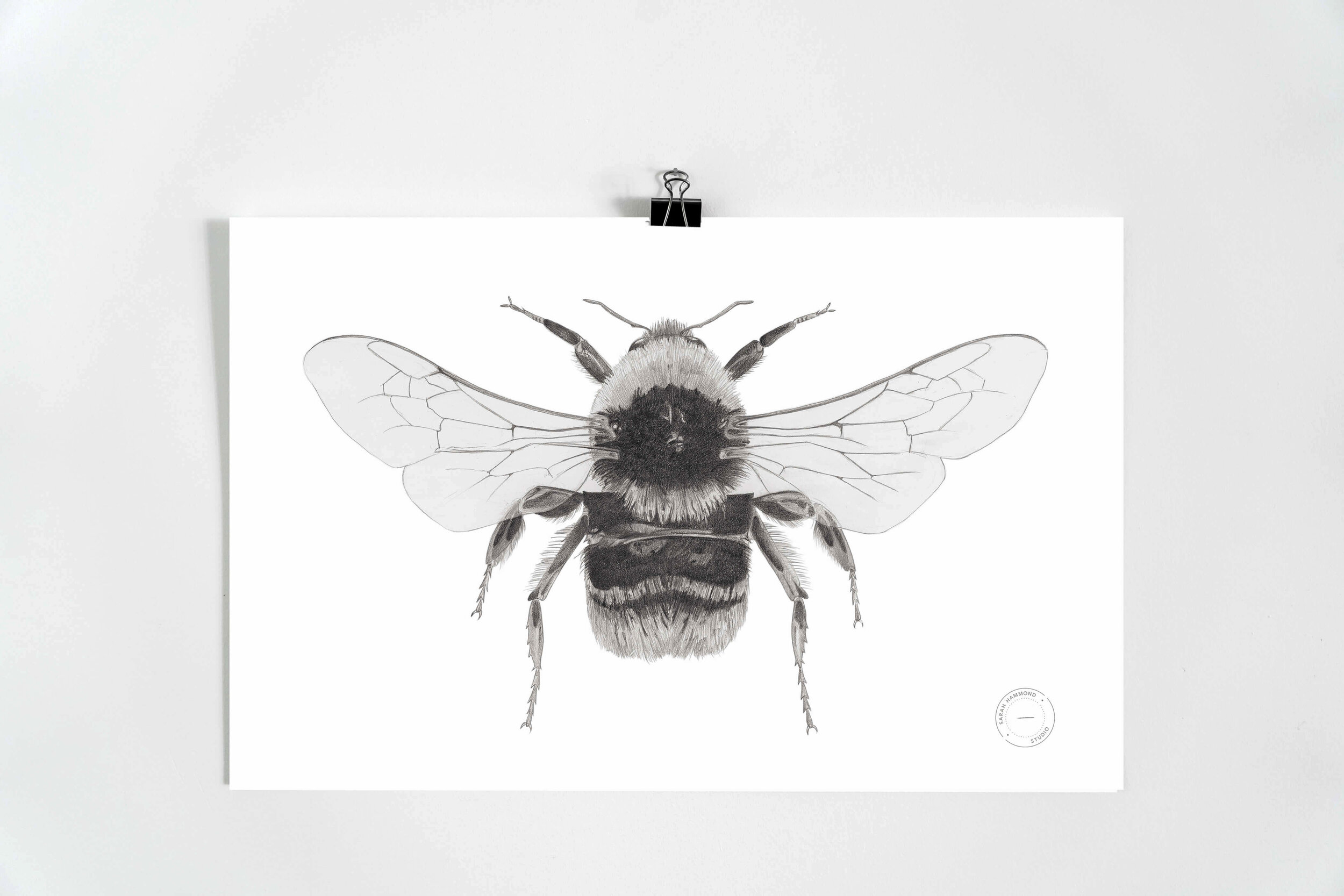 Bumblebee Print