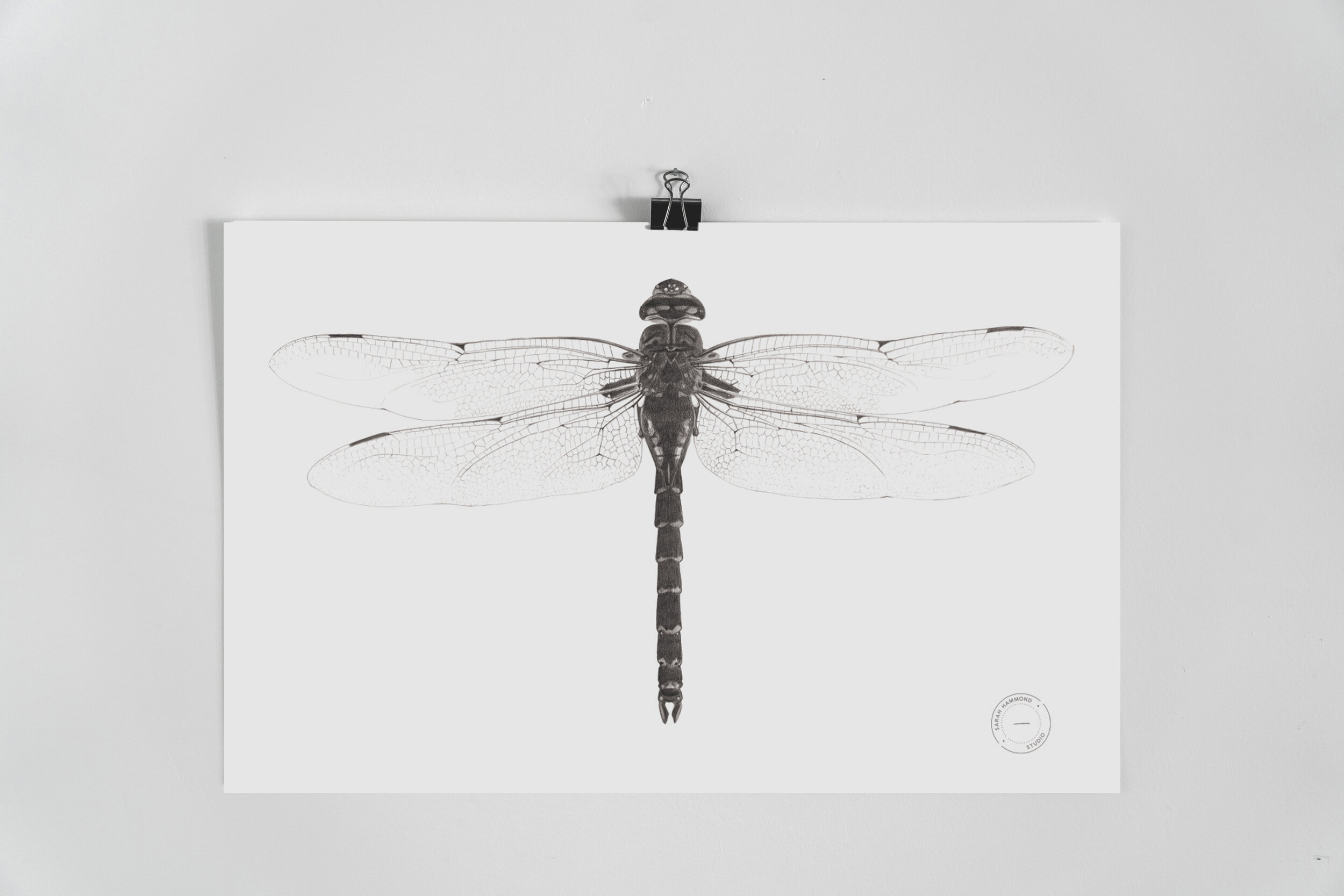 Dragonfly Print