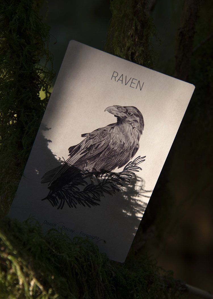 MGB Raven.jpg