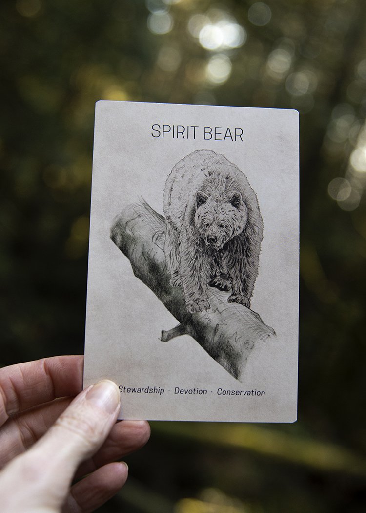 MGB Spirit Bear.jpg