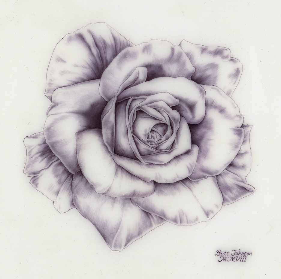 Untitled (Rose I)