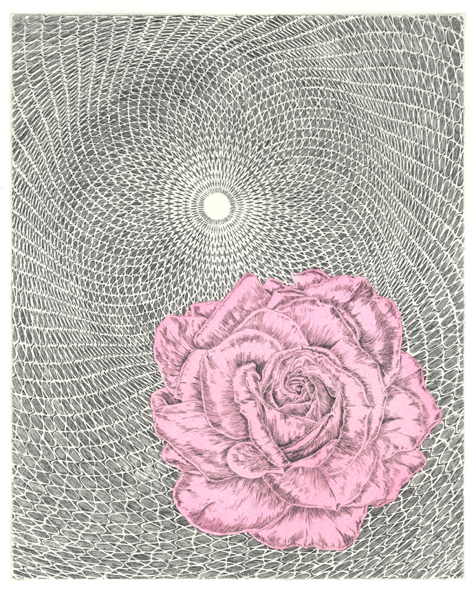 Untitled (Rose/Cycloid)