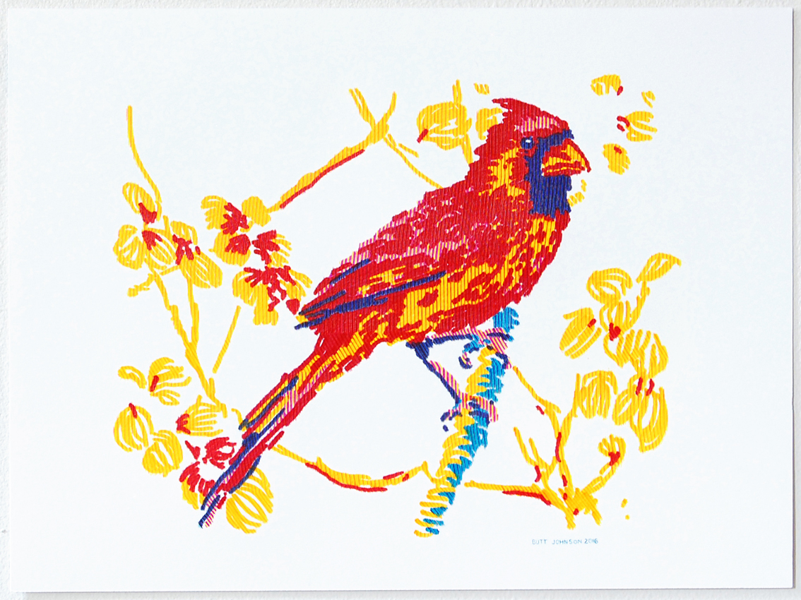 Untitled (Cardinal)