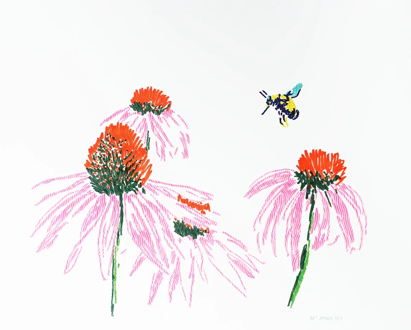 Untitled (Coneflowers and Bumblebee)