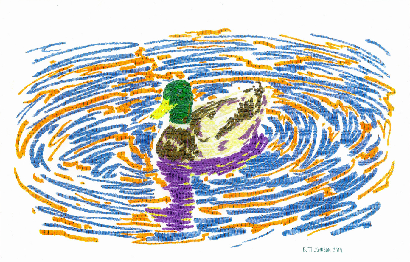 Untitled (Mallard)