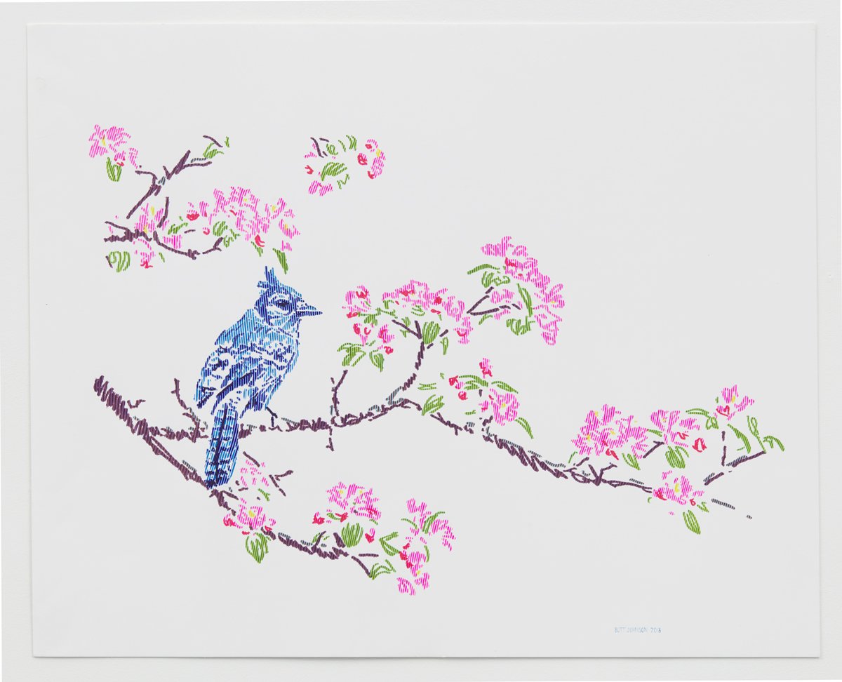 Bluejay and Cherry Blossoms