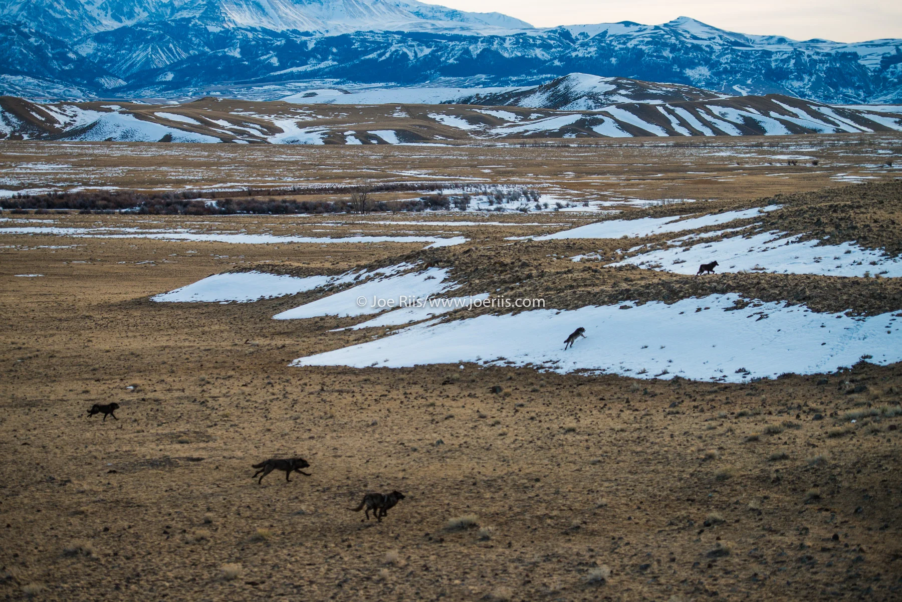 ELK_140309_01435.jpg