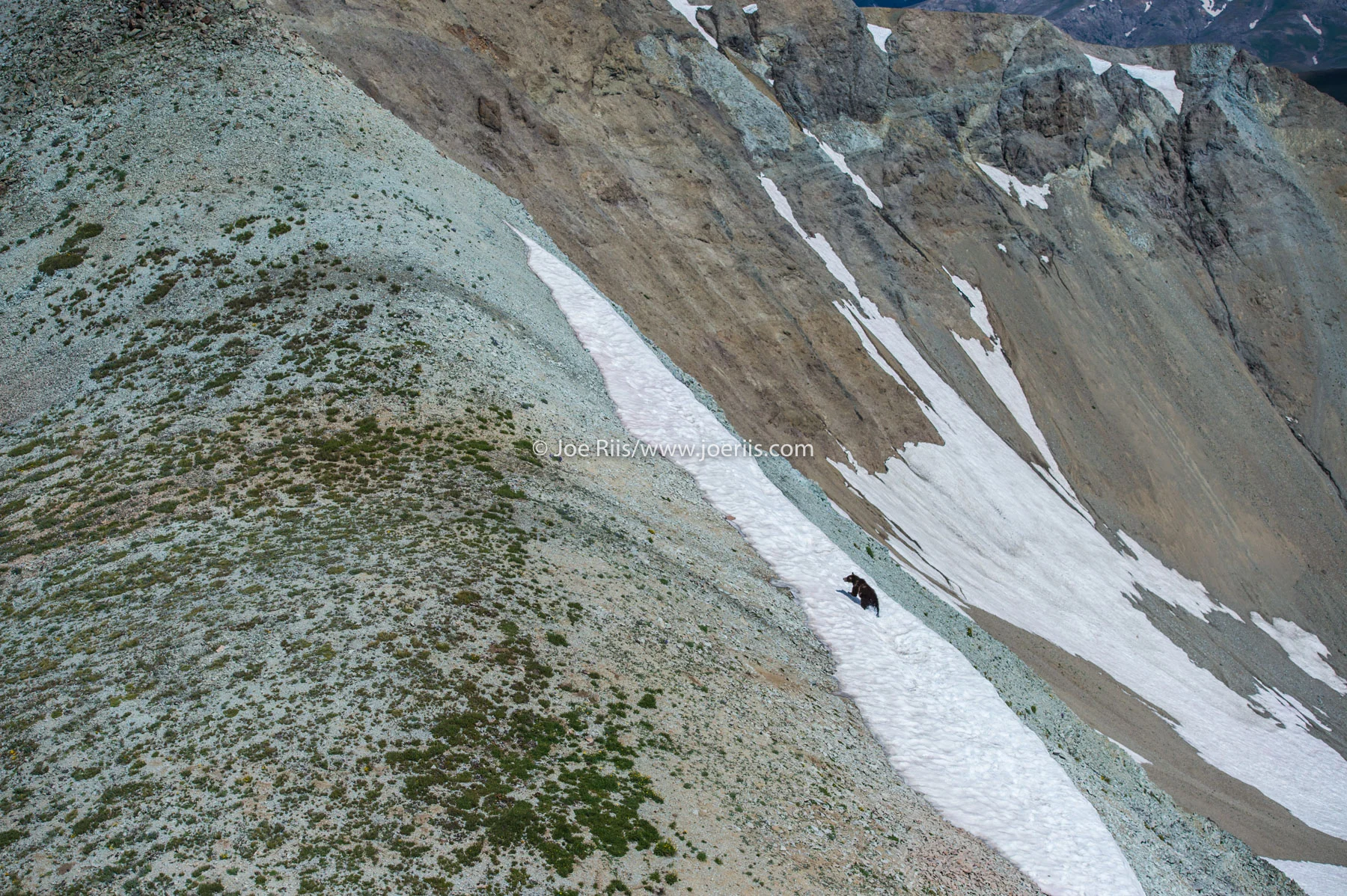ELK_140811_14359.jpg