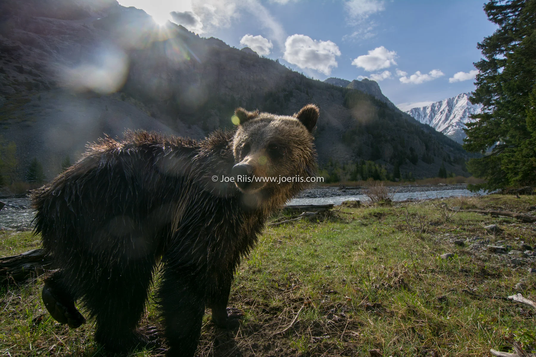 ELK_150514_27750.jpg