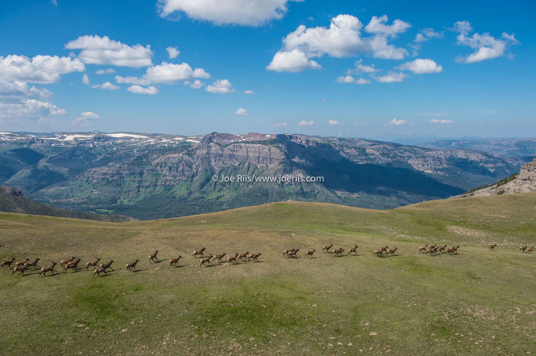 ELK_140811_14109.jpg