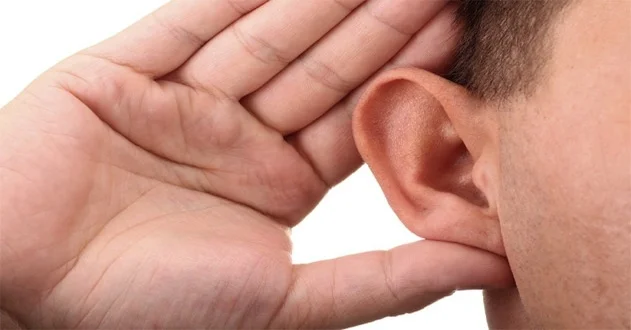 ear.jpg