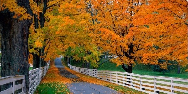 autumn-e1443275858892.jpg