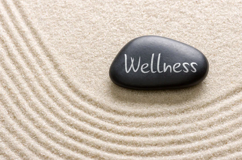 Wellness%20Stone.jpg