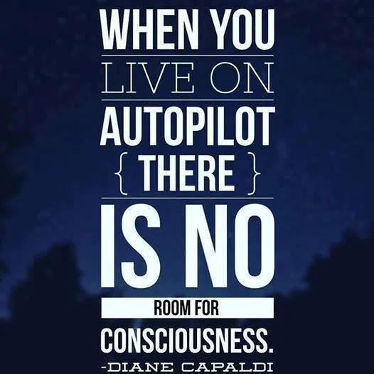 autopilot.jpg
