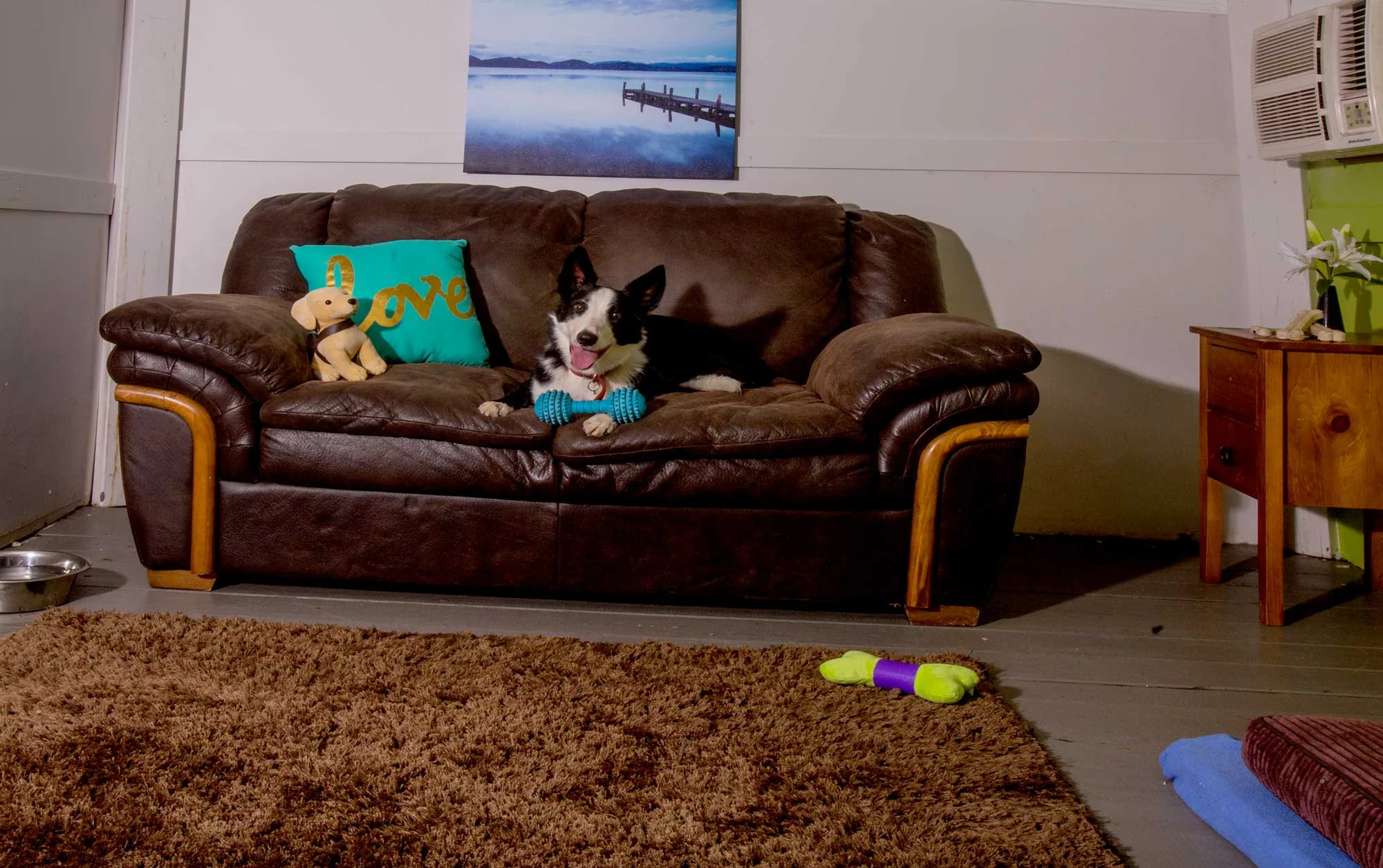 Rod Scott Photography