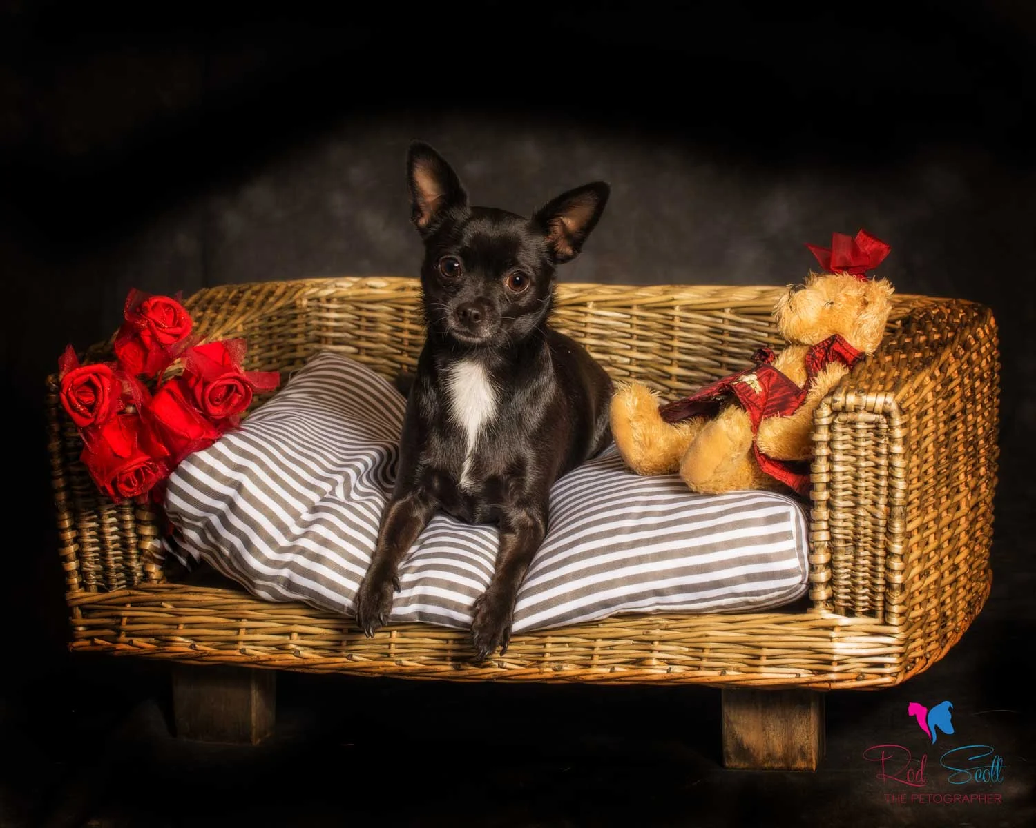 Photographer Brisbane