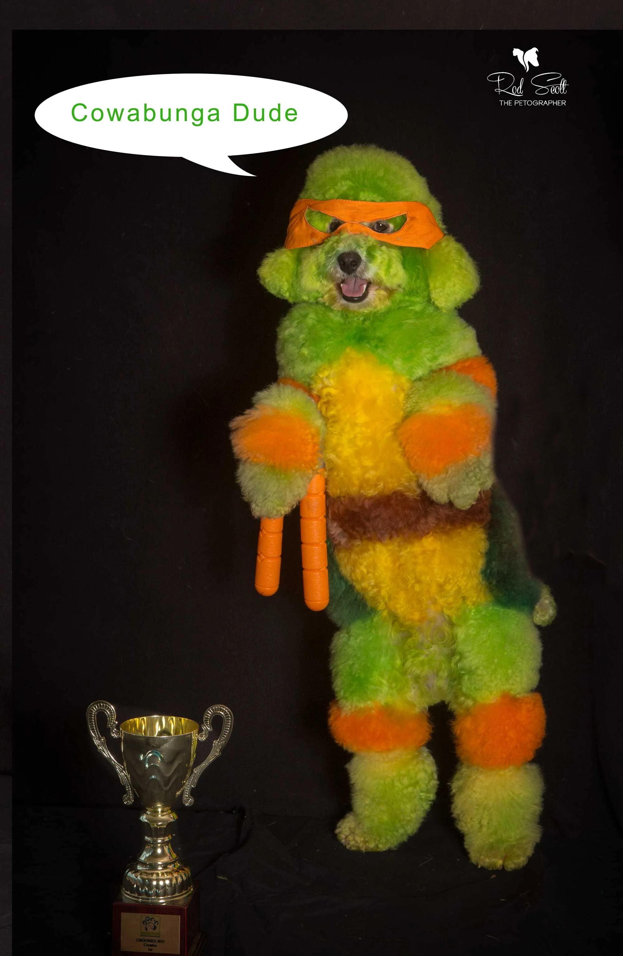 Rod Scott Photoshoot