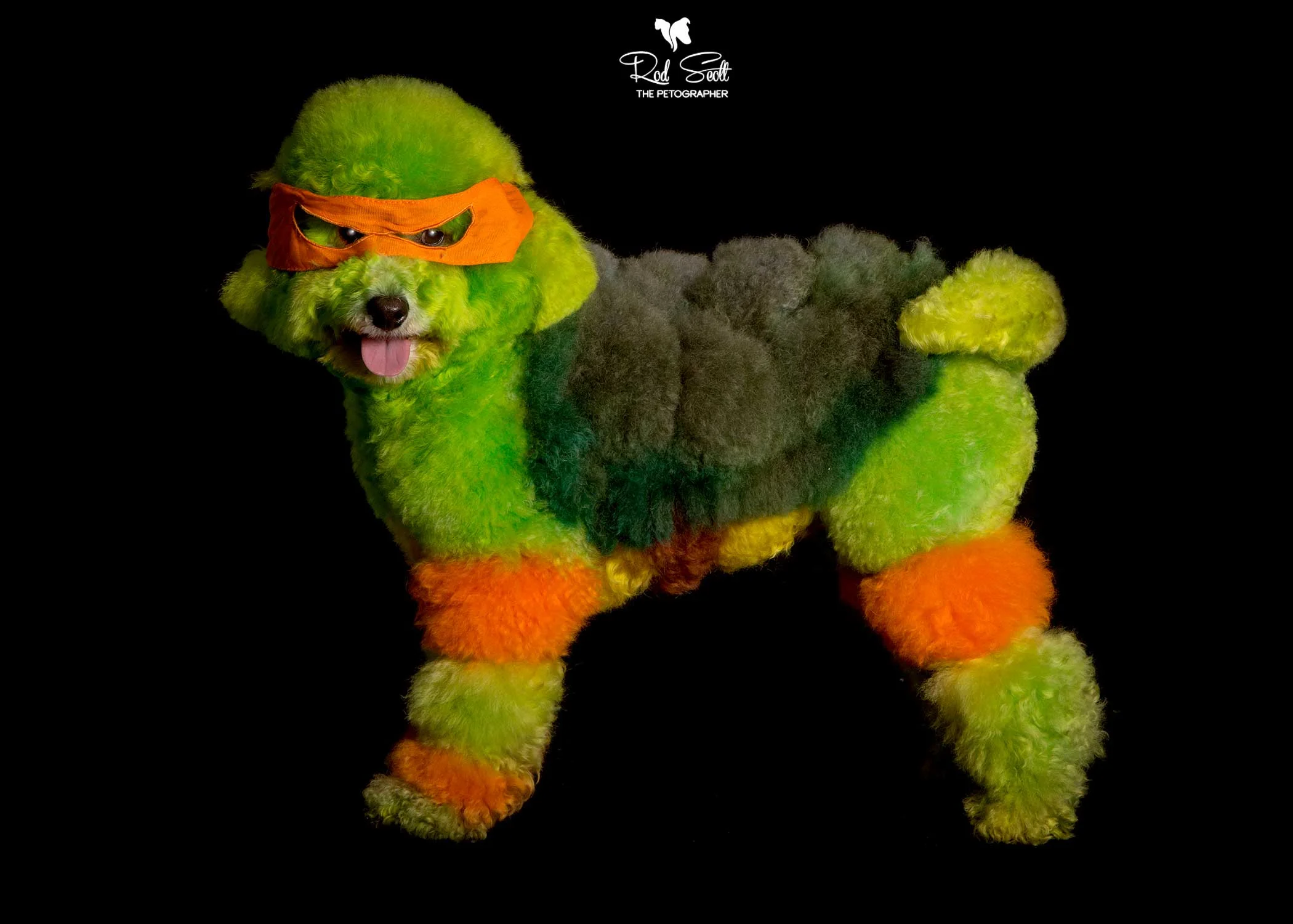 Rod Scott Photography